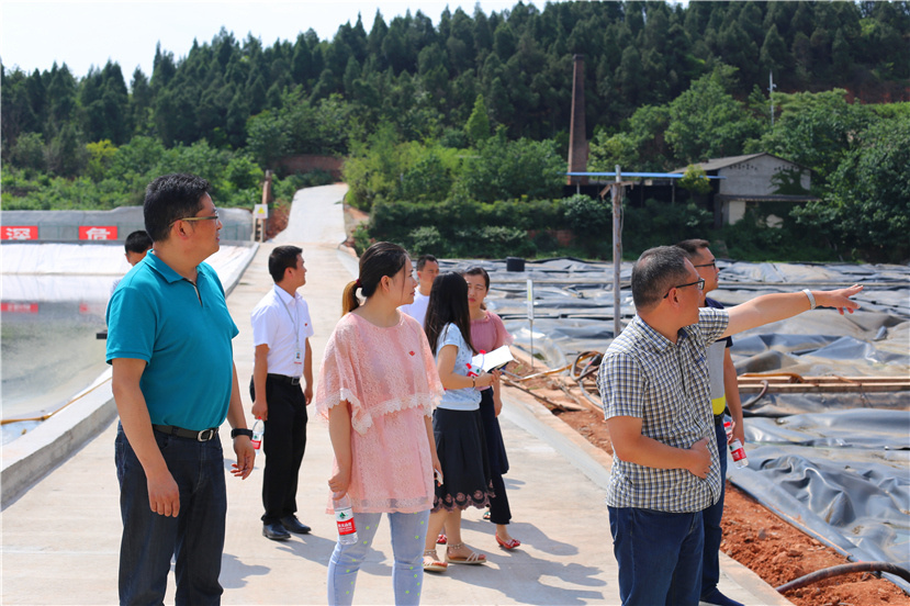 集團(tuán)第一檢查組檢查杰陽(yáng)排水公司、固廢處置公司安全防汛和環(huán)保達(dá)標(biāo)各項(xiàng)工作3_副本