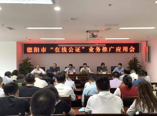 市民通又上新啦！
