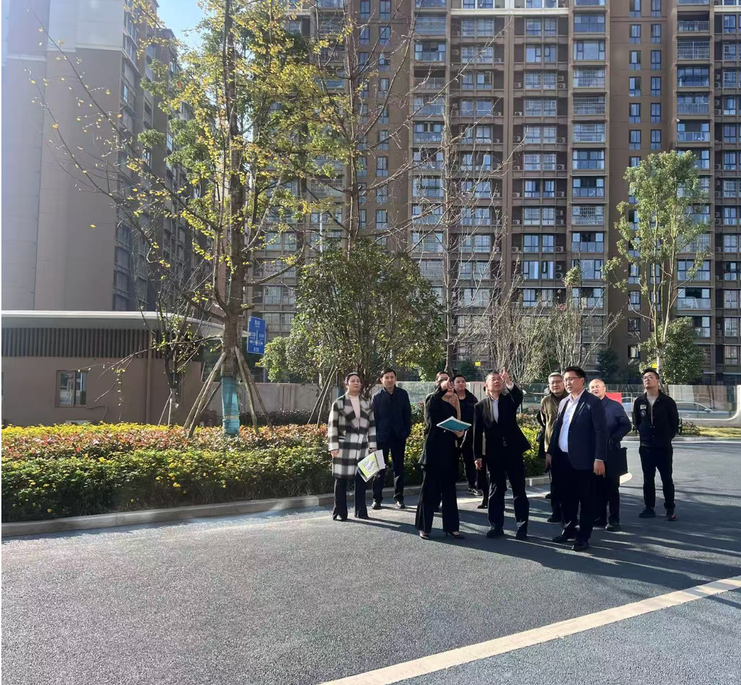 副市長徐春龍調(diào)研德陽市老年養(yǎng)護院、德陽市民政精神衛(wèi)生福利機構(gòu)項目建設(shè)工作